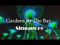 (HD) Supertree Grove Light Show Gardens By the Bay Singapore - Tales of the Moon