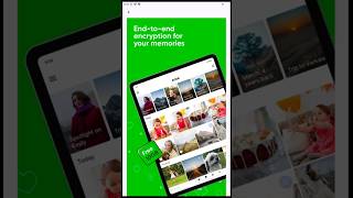 Ente Photos: Free App for Secure Backup of Your Photos and Videos! Profile