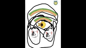 Doge res... level 219 completed next