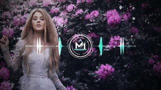 Humne Tumko Dil Ye De Diya Remix ×××××××××××× | Old Hindi Remix Song | Black Beauty DJ Remix Song