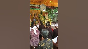 Chúc cụ an giấc ngàn thu #shortsfeed #status #shortsvideo #share #subscribe #shortvideo #song