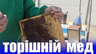 Що робити із закристалізованим медом в рамках. Як прибрати із рамок минуло річний мед весною