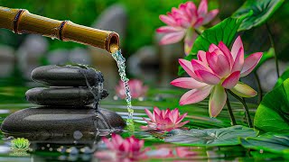 Relaxing Deep Sleep Piano Music | Meditation, Calming Water Sounds and Peaceful Healing Music