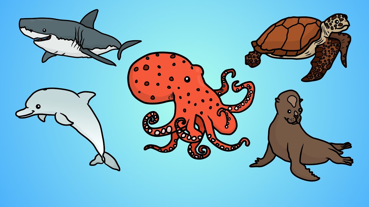 Great How To Draw Sea Animals of all time Learn more here 