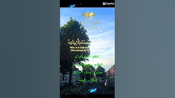 تلاوة خاشعة عطرة مباركة جميلة عذبة للشيخ سعد الغامدي ماتيسر من سورة البقرة