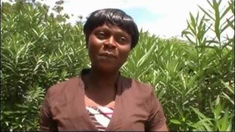 Improving Malaria Data Quality