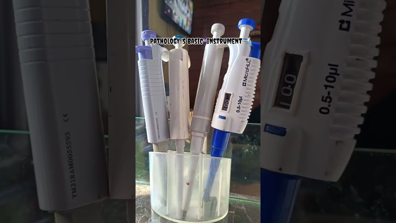  Lab Sample Song Love Laboratory Shorts Subscribe