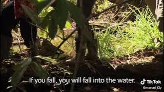 Michelle Yeoh speaks Malay. Michelle Yeoh cakap melayu.