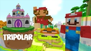Minecraft Wii U - Super Mario Series - 50,000 Subcribers 159