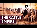 The Cattle Empire - The Incredible Journey