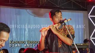 Dangdut Koplo 2018 - KADUNG TRESNO DIAN ANIC