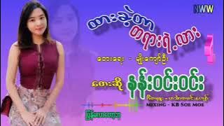 ထားခဲ့တာ တရားရဲ့လား - နန်းဝင်းဝင်း| Nan Win Win - Lyric Video