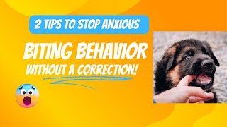 Learn to Stop Anxious Puppy Mouthing