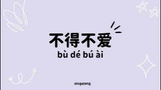 [不得不爱- Lyrics/pinyin/engsub] Bu de bu ai- Xian Zi & Wilber Pan