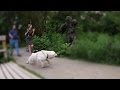 Bushman Ghillie Suit Prank | Funny Scare Pranks