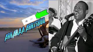 Ethiopian Oromo Music | Abebe Abeshu  | Bakkannisa Soofanii | Oldies Oromo Music