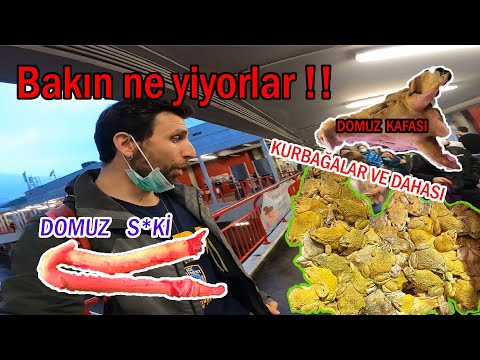 Video: Çin'de Ne Beklemeli - Kültür Şoku