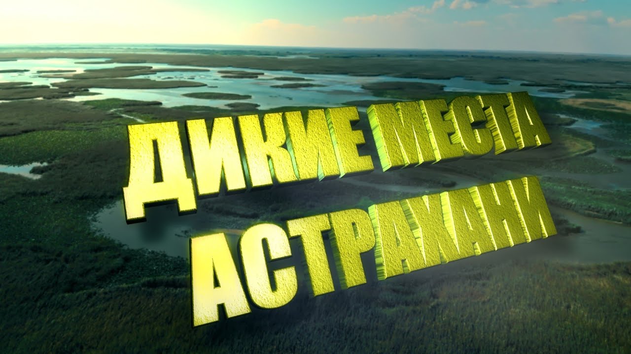 Дикие места Астрахани.  ХЕ из Сазана. Рыбалка в Астрахани весной 2025