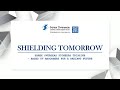 Shielding tomorrow  sarex overseas pioneers triazinebased uv absorbers for a radiant future