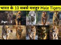 भारत के No.1 Tiger के बारे में जानकर हों जावोंगे हैरान || Top Ten Tigers Of India || Part - 2  ||