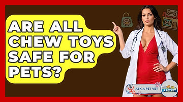 Are All Chew Toys Safe For Pets? - Ask A Pet Vet