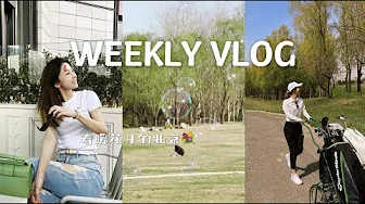 VLOG157｜春天啦！草坪野餐｜“野生”高尔夫｜静心养伤ing