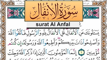 سورة الأنفال جمال شاكر عبد الله Surah Al Anfal jamal shaker