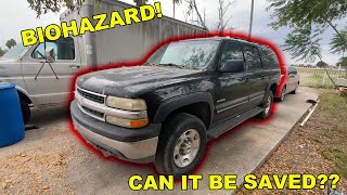 Chevy Surburban 2500 Part 1  -  BIOHAZARD CLEANUP