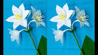 How to make Crepe paper Flowers Amazon Lily / Eucharis grandiflora (flower # 231)