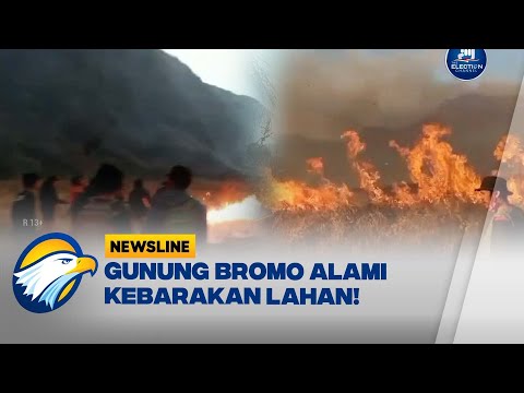 Gunung Bromo Alami Kebakaran Lahan