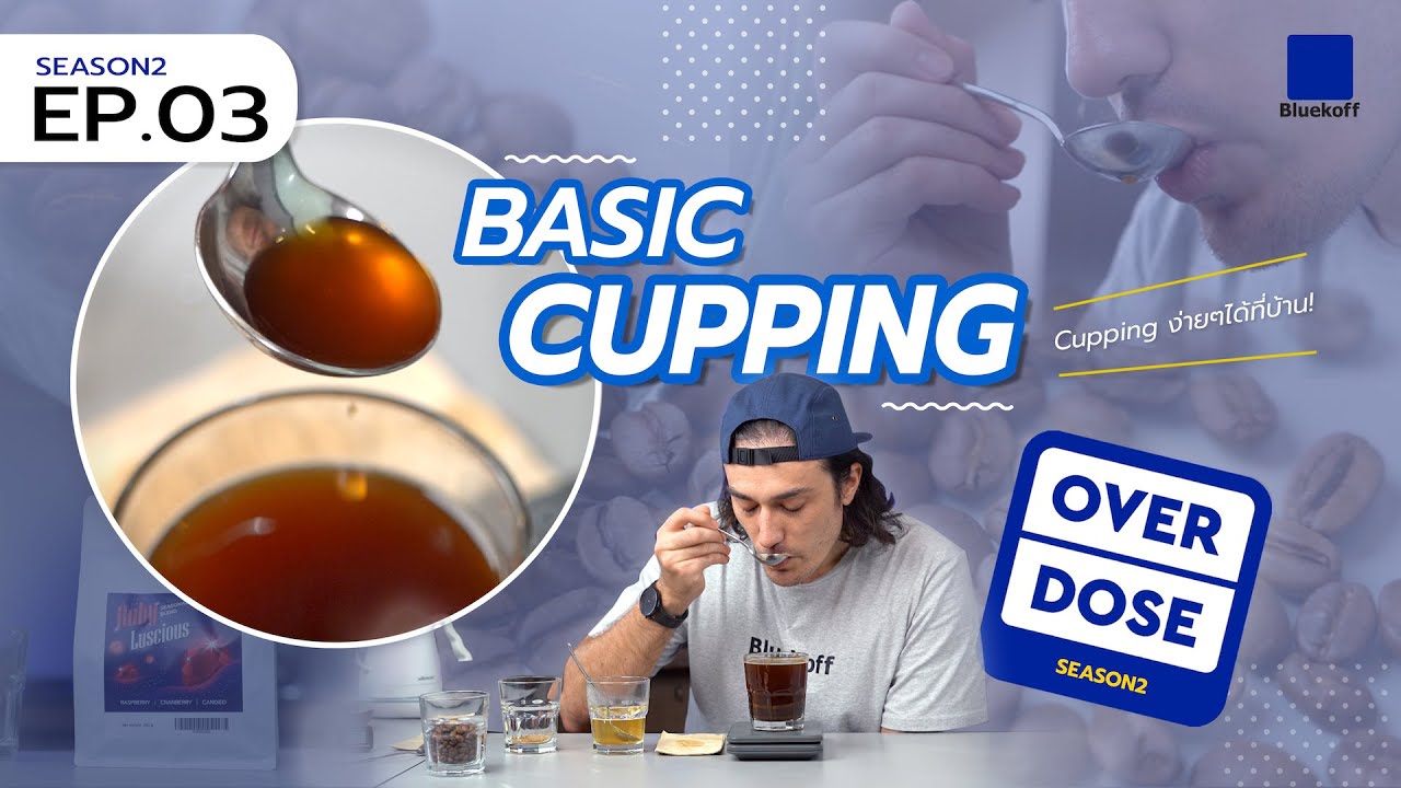 cupping coffee คือ  Update 2022  Overdose Season 2 : Ep.03 Basic Cupping