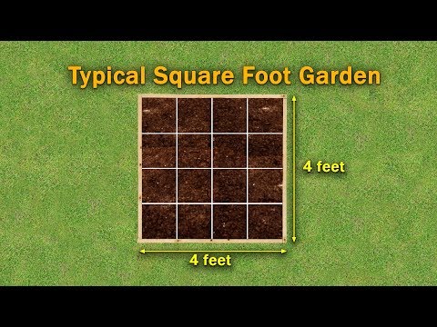 Square Foot Gardening Basics – Family Plot