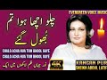 Noor Jahan Song Chalo Acha Hua Tum Bhool Gaye Urdu Hindi Song Remix Song Jhankar Song