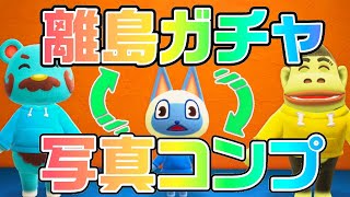 【生放送】あつ森「離島ガチャと写真コンプリート」を行ったり来たりする配信vol.５