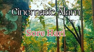 Cinematic Alam Sore Hari | Cinematic Aethetic | Nature Cinematic