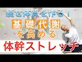 【痩せ体質を作る】基礎代謝を高める体幹ストレッチ