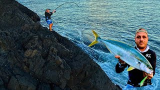 Rock Fishing with Lures: Kingfish on Topwater | NSW Central Coast