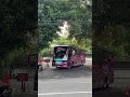 Javas queen semerdu ini ternyata 🔥😎 #basuri #busmania #viral #fyp #masukberanda #jogja