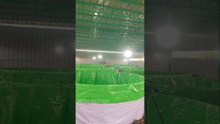 Pondicherry New Biofloc Fish Farming Setup | Complete Tank Installation Guide.#BioflocBusiness
