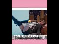 lalisa, the diva you're #lisa #blackpink #kpop #new #trend #lalisamanoban #deadlinetour