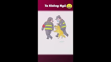Mấy con chó mèo hài hước nhất 2025 | Funniest Cats And Dogs Video 😺