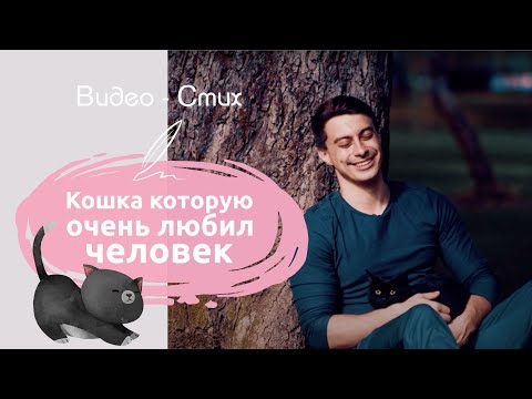 Кошка которую очень любил человек | Грустный стих про кошку читает Мамедов Рамиль