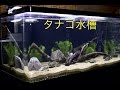 90cm タナゴ水槽 #1 水槽の立ち上げ【日淡水槽】Aquarium Setup