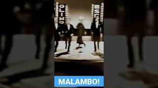 Los 5 Latinos 🎵 Zapatean MALAMBO (ESTELA RAVAL 1967) Inédito de Colección #shorts