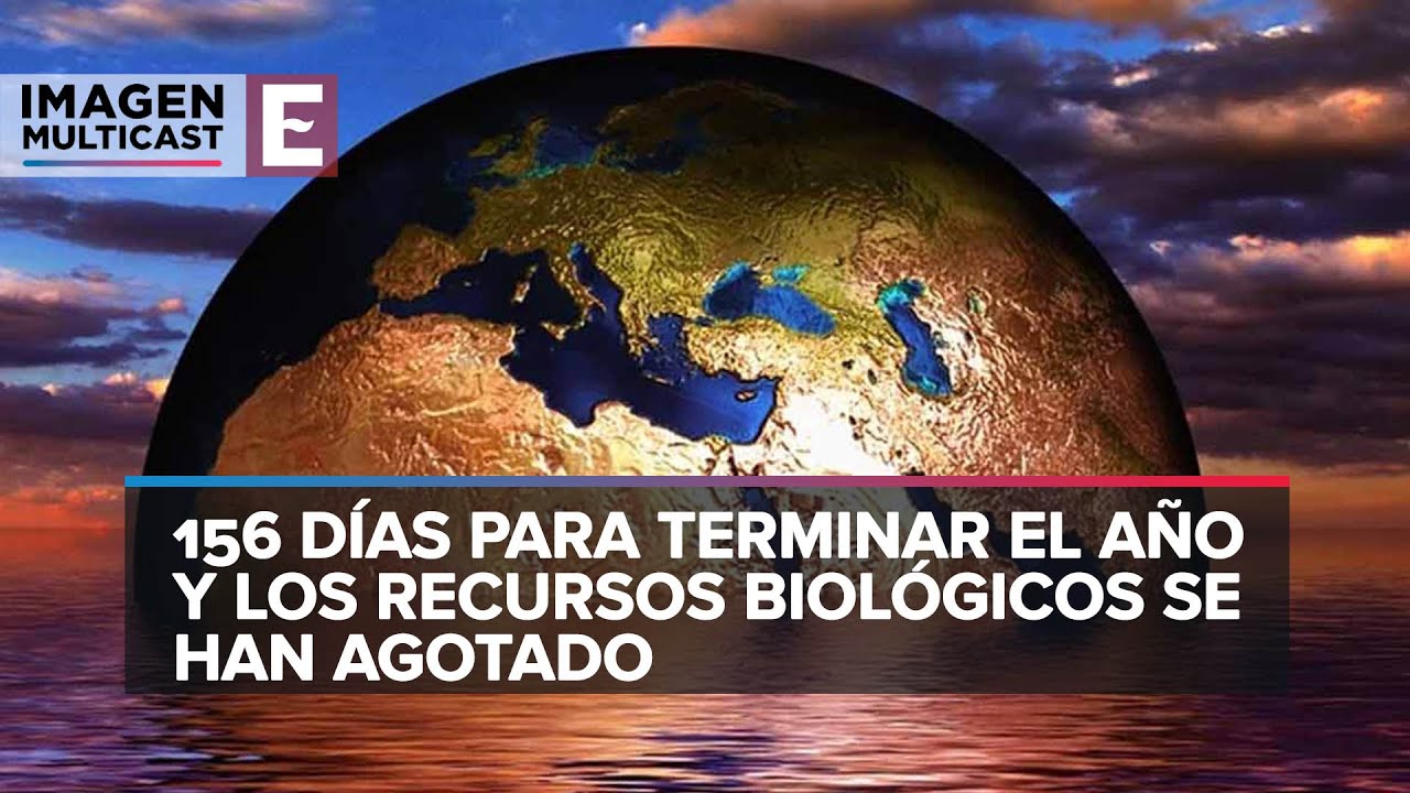 Que podemos hacer para frenar el cambio climatico