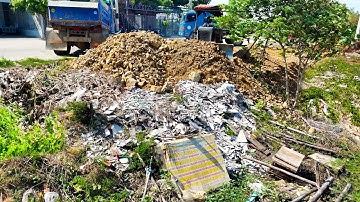 Amazing New Filling Land!! By Skills Dozer Clear, Pushing Soil Into Huge Pond & Dump Truck 5Ton