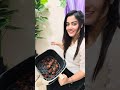 চলেন আজকে চানরাতে TQIU এর Air Fry দিয়ে পুডিং বানাবো।