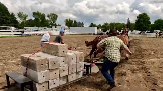 DUKE & EARL’S FIRST PULL TOGETHER… I was Impressed!!! #951
