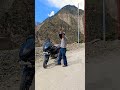 chori chora Dil Tera churaenge #music #song #funny please subscribe my channel 🥹🥹🥹🥹