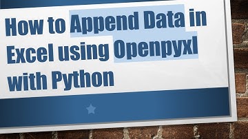 How to Append Data in Excel using Openpyxl with Python